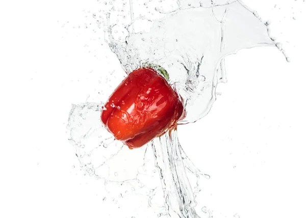 Ganze leckere frische rote Paprika mit klarem Wasserspritzer isoliert auf weißem — Stockfoto