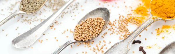 Panoramic shot of spices in silver spoons on white background — Stock Photo