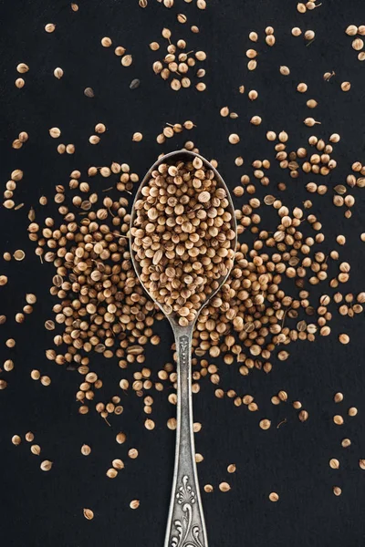 Top view of Coriander in silver spoon on black background — Stock Photo