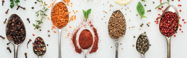 Panoramic shot of colorful spices in silver spoons near green leaves on white background — Stock Photo
