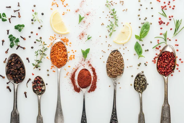 Draufsicht auf bunte Gewürze in Silberlöffeln in der Nähe von Kräutern und Zitronenscheiben auf weißem Hintergrund — Stockfoto