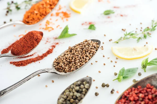 Close up view of colorful spices in silver spoons near herbs and lemon slices on white background — Stock Photo