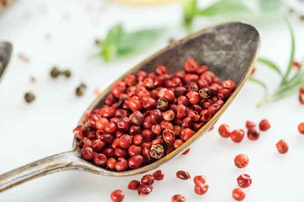 Vue rapprochée du poivron rouge dans une cuillère en argent sur fond blanc — Photo de stock