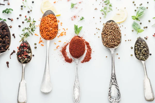 Top view of spices in silver spoons near herbs and lemon slices on white background — Stock Photo