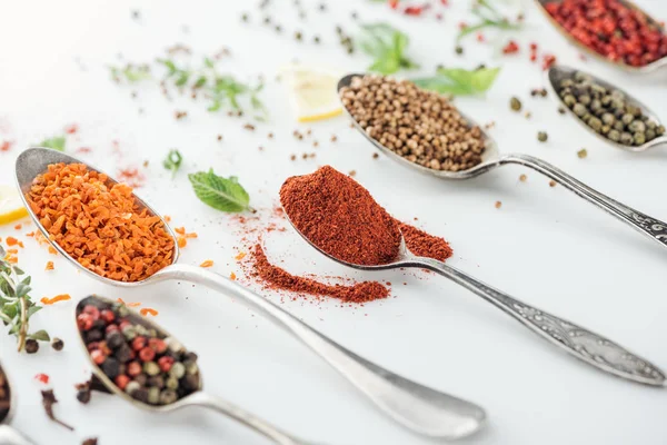 Close up view of indian bright spices in silver spoons on white background — Stock Photo