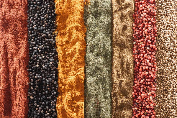 Top view of traditional bright indian spices in rows — Stock Photo