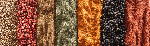 Top view of traditional bright indian spices in rows, panoramic shot — Stock Photo