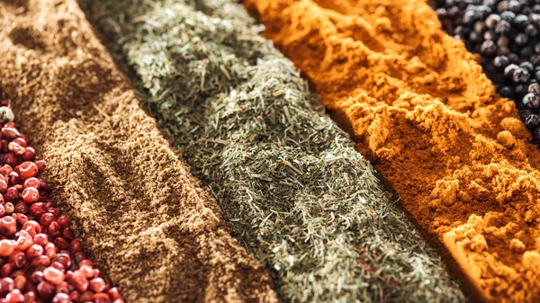 Close up view of traditional various indian spices in rows — Stock Photo