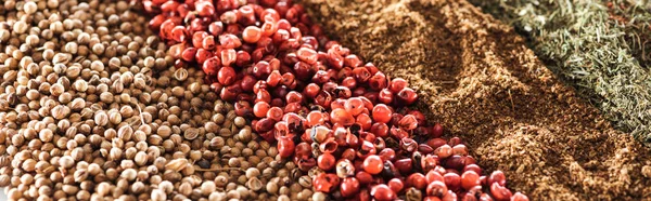 Vista de perto de especiarias tradicionais aromáticas indianas em fileiras, tiro panorâmico — Fotografia de Stock