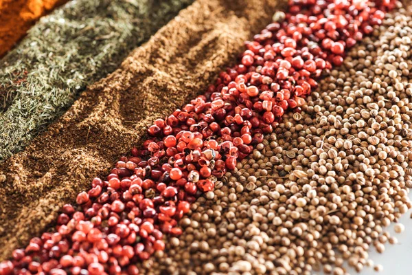 Close up view of traditional aromatic indian spices in rows — Stock Photo