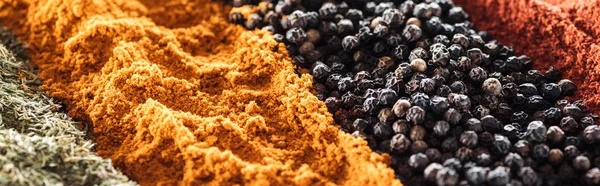 Close up view of traditional bright indian spices in rows, panoramic shot — Stock Photo