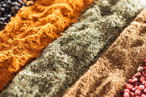 Close up view of traditional bright indian spices in rows — Stock Photo