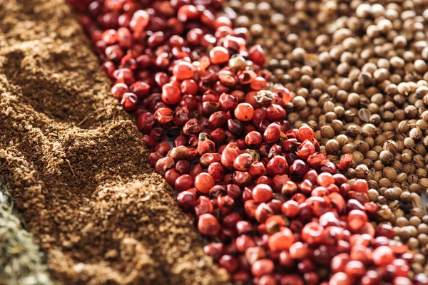 Close up view of traditional indian spices and dried berries — Stock Photo