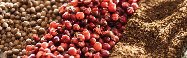 Close up view of traditional indian spices and dried berries, panoramic shot — Stock Photo