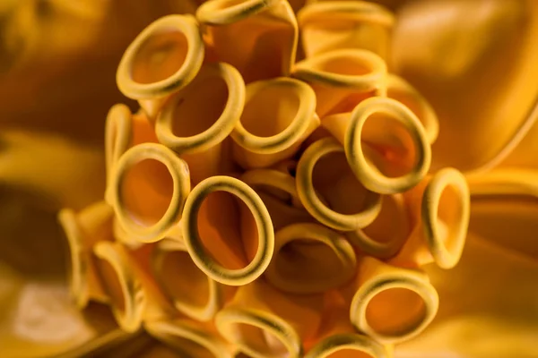 Крупним планом вид на жовті декоративні святкові кульки — стокове фото