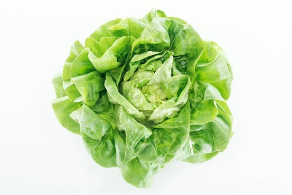 Blick von oben auf frische natürliche nasse grüne Salatblätter isoliert auf weiß — Stockfoto