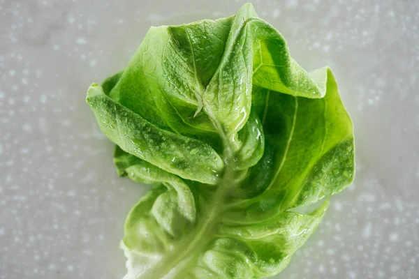 Vue rapprochée de feuilles fraîches de laitue verte humide avec des gouttes — Photo de stock