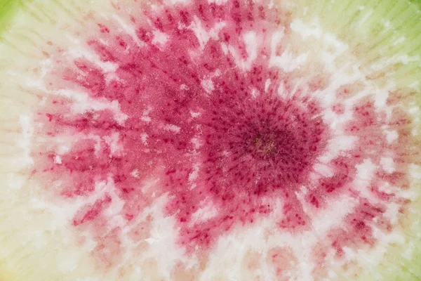 Close up view of raw purple fresh watermelon radish — Stock Photo