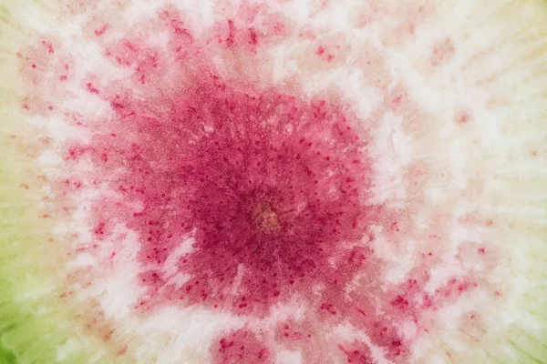 Close up view of cut purple fresh armelon radish — стоковое фото