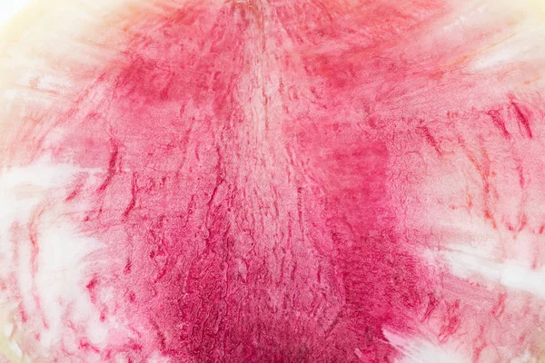 Close up view of cut raw purple fresh watermelon radish — Stock Photo