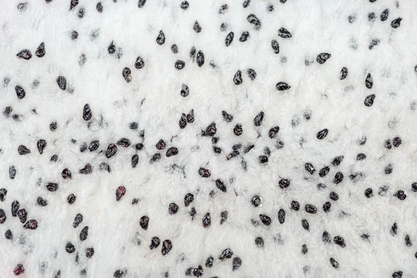 Vista de cerca del exótico puré de frutas de dragón maduras - foto de stock