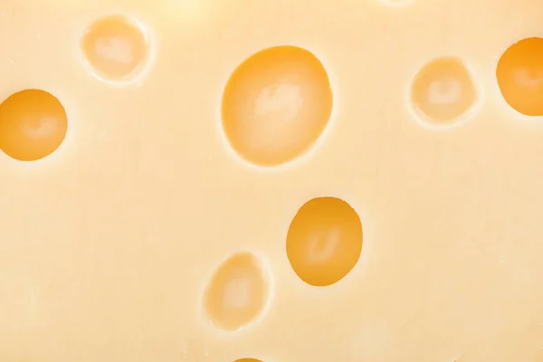 Close up view of yellow cheese with wholes — Stock Photo