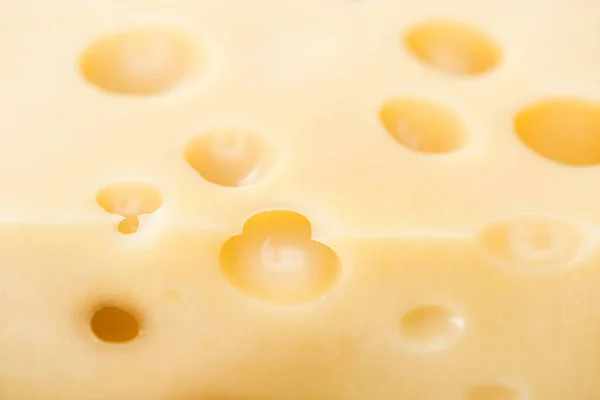 Close up view of fresh yellow cheese with wholes — Stock Photo