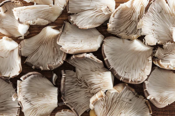 Top view of white raw textured mushrooms in pile — Stock Photo