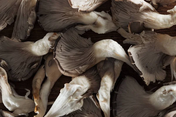 Vista da vicino di funghi crudi testurizzati in pila — Foto stock