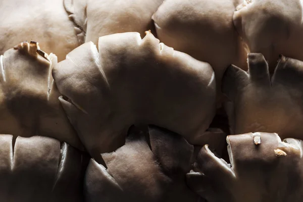 Vista ravvicinata di funghi bianchi crudi strutturati con ombra in pila — Foto stock