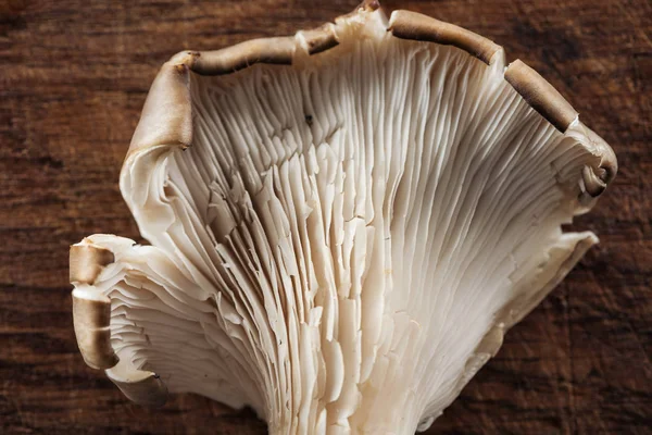 Close up view of uncooked mushroom on textured wooden background — Stock Photo