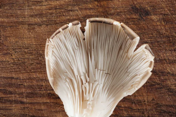 Close up view of raw white mushroom on textured wooden background — Stock Photo