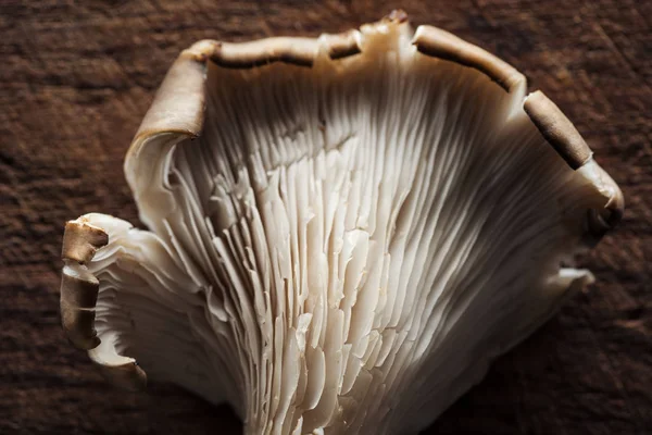 Close up view of raw fresh mushroom on textured wooden background — Stock Photo