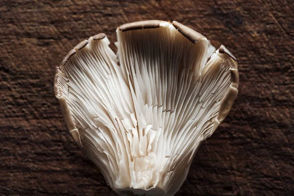 Close up view of raw mushroom on textured wooden background — Stock Photo