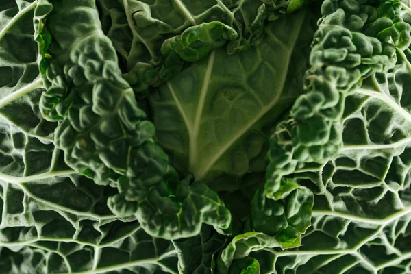 Close up view of textured green cabbage leaves — Stock Photo