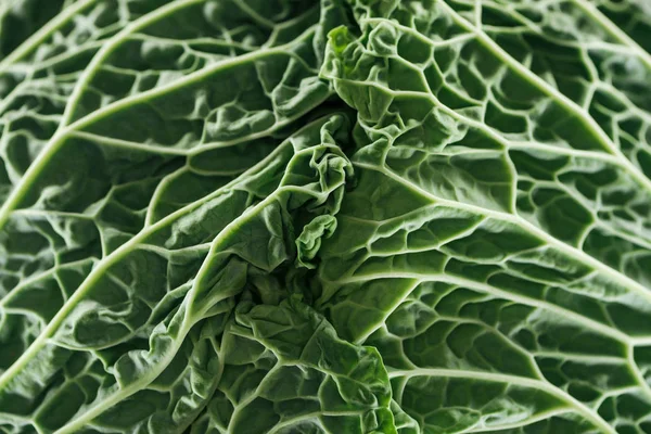 Close up view of textured fresh green cabbage leaves — Stock Photo