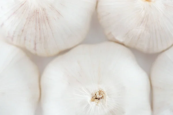 Close up view of spicy white whole garlic — Stock Photo