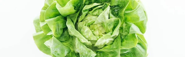 Tiro panorâmico de folhas de alface orgânica fresca verde isolado em branco — Fotografia de Stock