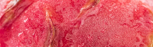 Panoramic shot of wet exotic ripe dragon fruit pink textured peel — Stock Photo