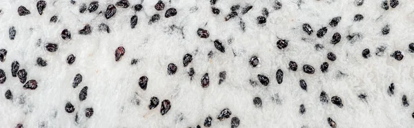 Panoramic shot of exotic ripe dragon fruit puree with black seeds — Stock Photo