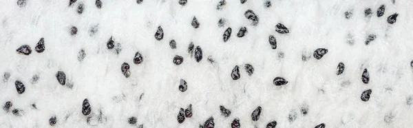 Panoramic shot of tropical ripe dragon fruit puree — Stock Photo