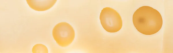 Panoramic shot of fresh textured yellow cheese with wholes — Stock Photo