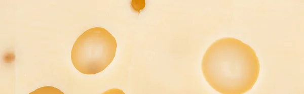 Plan panoramique de fromage jaune frais avec de gros trous — Photo de stock