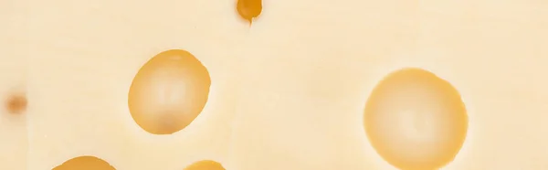 Panoramic shot of fresh yellow cheese with big wholes — Stock Photo