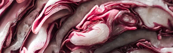 Panoramablick auf geschnittenen frischen Rotkohl — Stockfoto