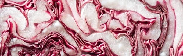 Panoramic shot of fresh cut textured red cabbage — Stock Photo