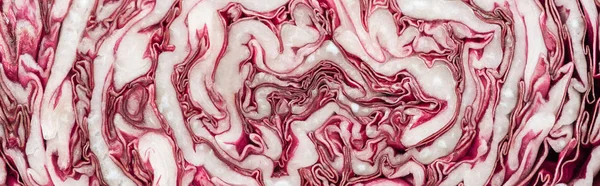 Panoramic shot of fresh cut red cabbage — Stock Photo