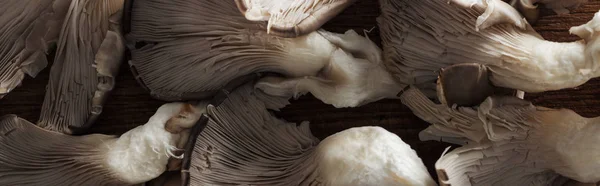 Крупным планом вид текстурированных белых и коричневых грибов в куче, панорамный снимок — стоковое фото