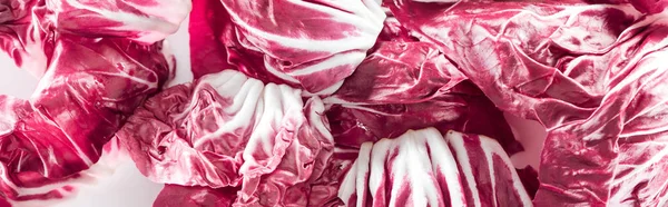 Panoramic shot of fresh red cabbage leaves — Stock Photo