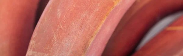 Panoramic shot of ripe tropical tasty red bananas — Stock Photo